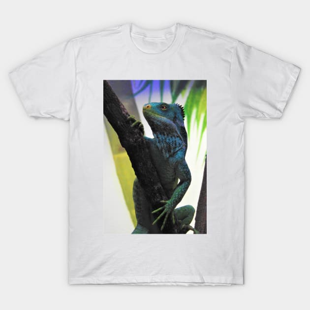 Fijian Crested Iguana T-Shirt by kirstybush